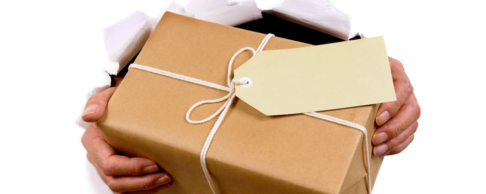 Express Parcel services